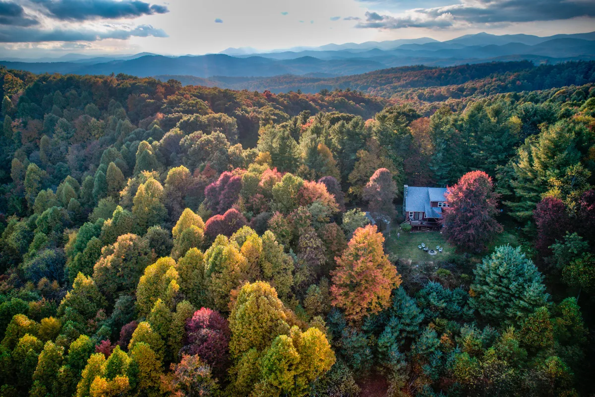 A cozy cabin nestled amid a dense forest with a dramatic mountain backdrop. The scene captures the essence of the High Country, inviting exploration and outdoor play among the trees and mountains.
