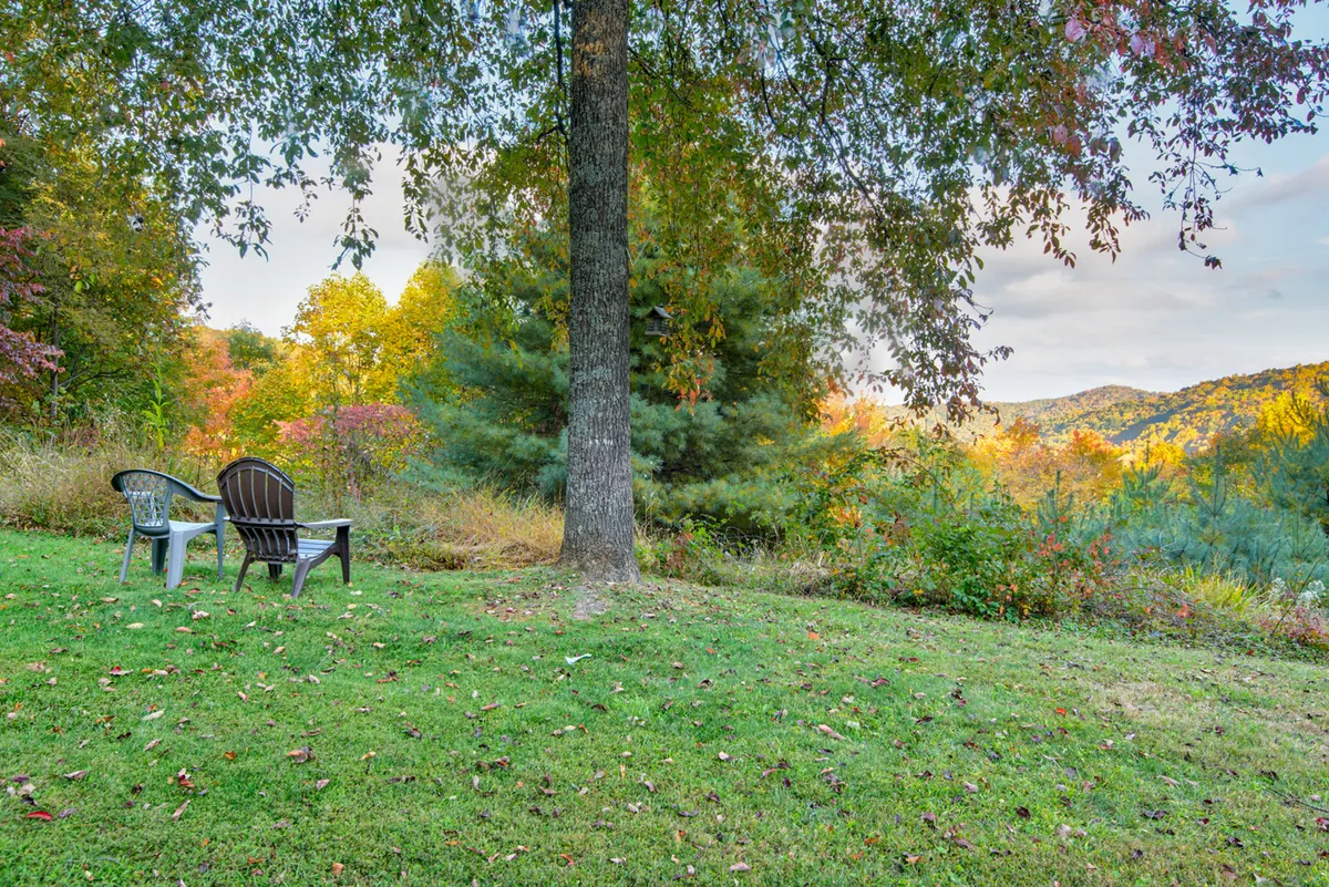 Two chairs are placed under a large tree with colorful foliage, overlooking distant mountains. The tranquil setting invites guests and their pets to relax, enjoy the view, and soak in the mountain atmosphere.